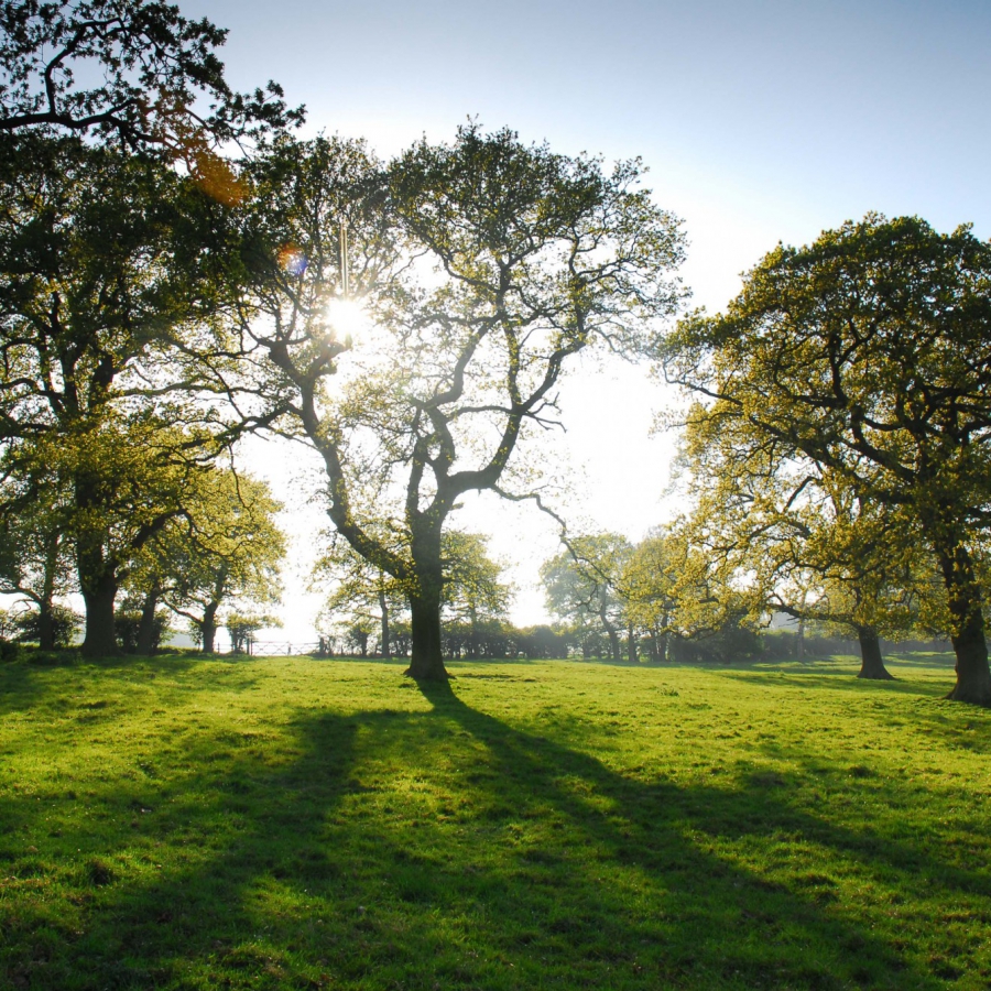 About the National Centre for Rural Health and Care